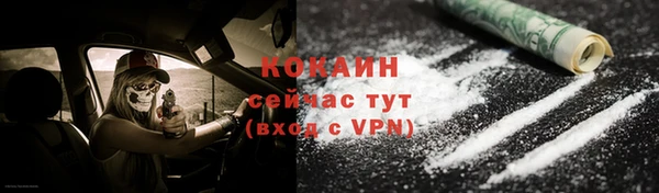 ГАЛЛЮЦИНОГЕННЫЕ ГРИБЫ Карпинск