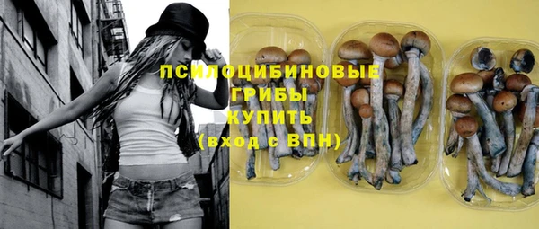ГАЛЛЮЦИНОГЕННЫЕ ГРИБЫ Карпинск