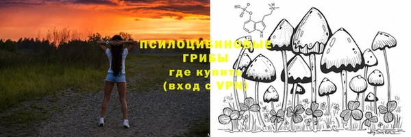 ГАЛЛЮЦИНОГЕННЫЕ ГРИБЫ Карпинск