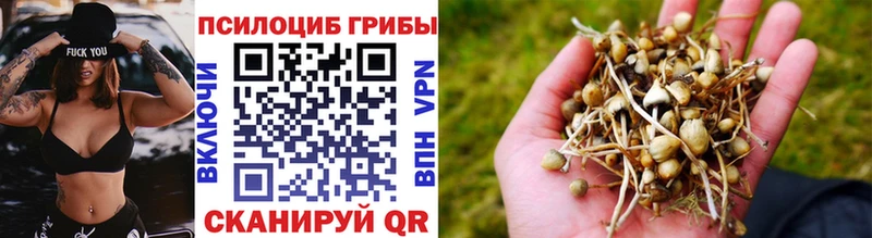 Купить  Краснознаменск  Галлюциногенные грибы ЛСД 